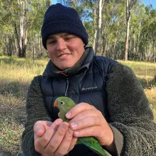 Researcher, Daniel Gautschi, holds a superb parrot in his hands. He is sitting in a patch of Box-Gum Grassy Woodlands.