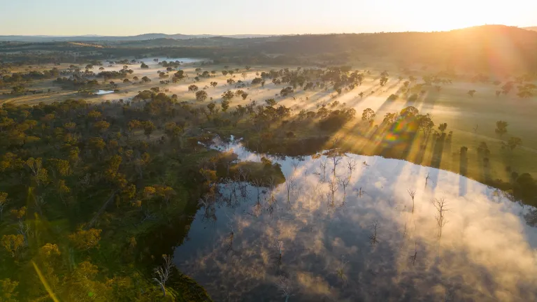 An aerial view of woodland and dam at dawn.