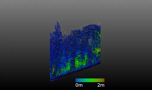 sub canopy fuel visualised through lidar