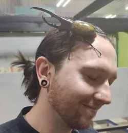 Josh with a slight smile and eyes closed stands calmly with a large beetle resting on the top of their head. The beetle has prominent black horns and a shiny golden-brown shell. Josh has dark hair tied back in a short ponytail