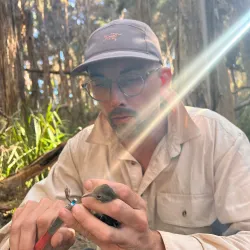 Researcher, Ross Crates, holds a small brown bird in his hand. He is crouched in a woodland forest and wearing a cream work shirt, navy cap and glasses.