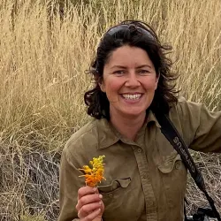 Researcher, Ellen Ryan-Colton, kneels in a patch of dry grass holding a grevillea flower.