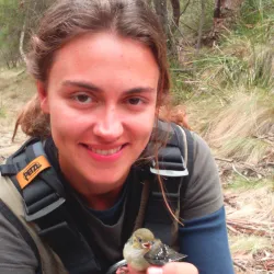 Dr Fernanda Alves de Amorim