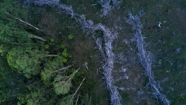 A birds eye view of an Australian forest that has been half cleared of trees.