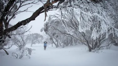 A researcher walks through a snowy landscape.