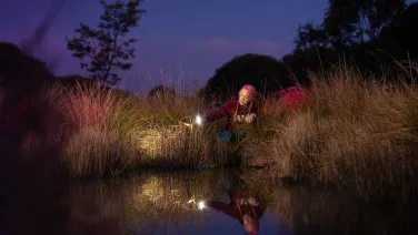 PhD student, Michelle Littlefair, crouches near the edge of a dam at night pointing her spotlight into the reeds.