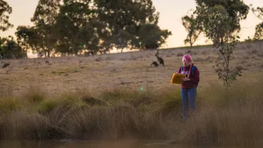 A student takes notes at the edge of a dam with eucalyptus trees and kangaroos in the distance.