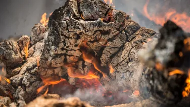 A close up of a log burning.