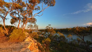 Golden light on river and vegetation