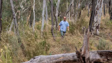 Researcher walks through the bush with a log in the foreground and wearing a blue shirt.