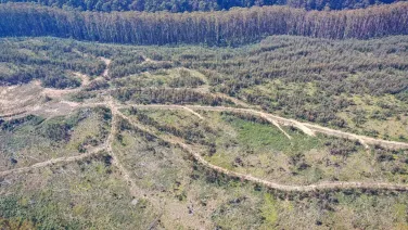An aerial image of a logged forest area in Victoria.