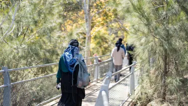 A student walks along a board walk among trees.