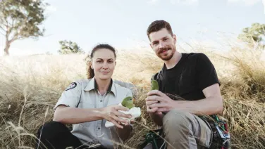 Two researchers hold superb parrots in their hands, sitting in a grass woodland environment.