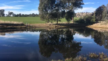 Image of a sustainable farm dam.