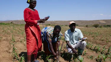 Three people testing soil in an agricultural field in Africa.