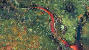 An aerial view of a lush green floodplain with a orange-red glowing creek running through the centre.