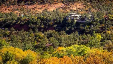Homes overlook a forest in the wildland-urban interface in Arizona. Marius von Essen