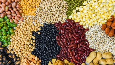 grains and pulses