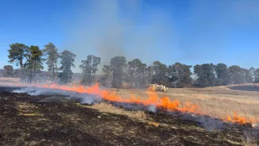 A hazard reduction burn at Majura earlier this year.